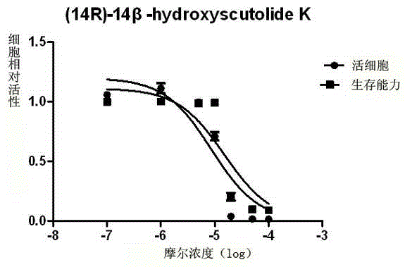 Scutellaria barbata extract as well as preparation method and application thereof