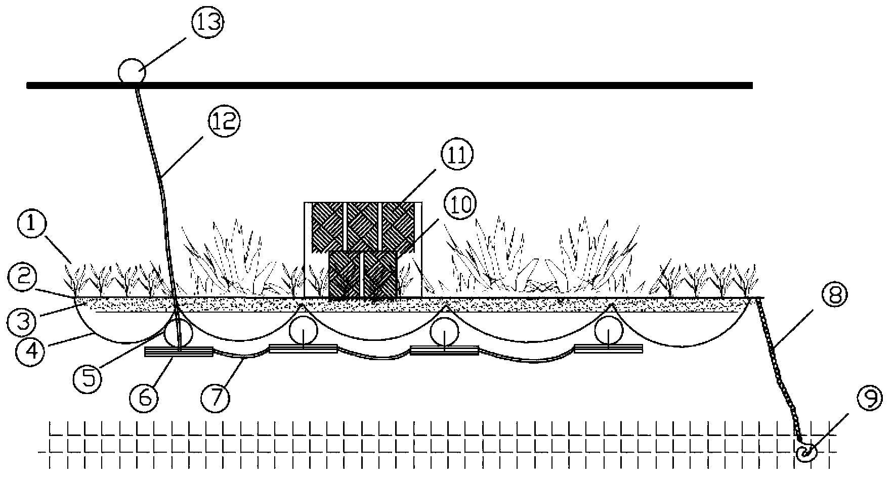 Submerged plant community rapid establishment device