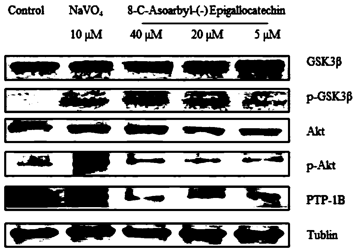 Application of AE as medicine for preventing and treating hyperlipemia