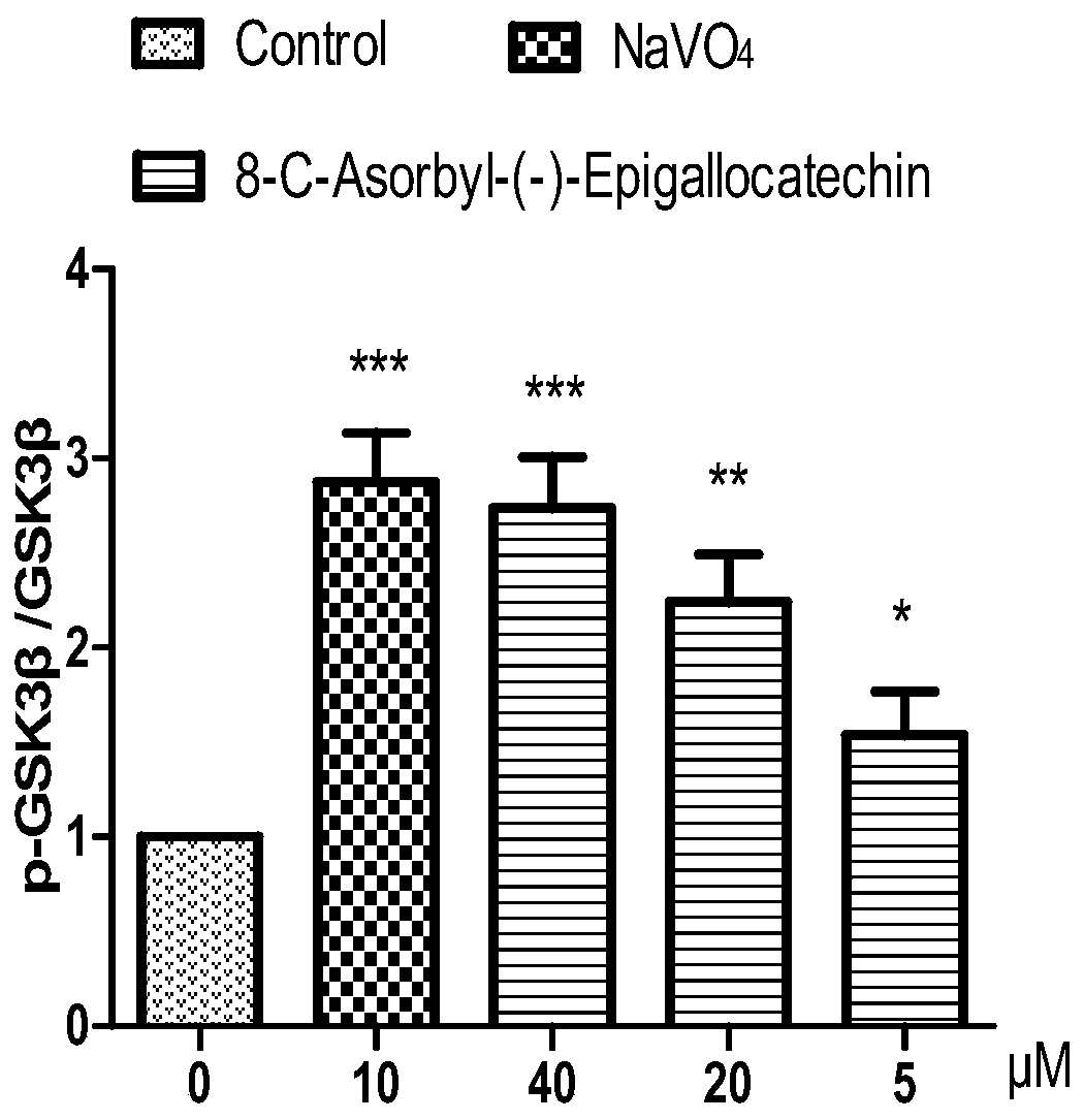 Application of AE as medicine for preventing and treating hyperlipemia