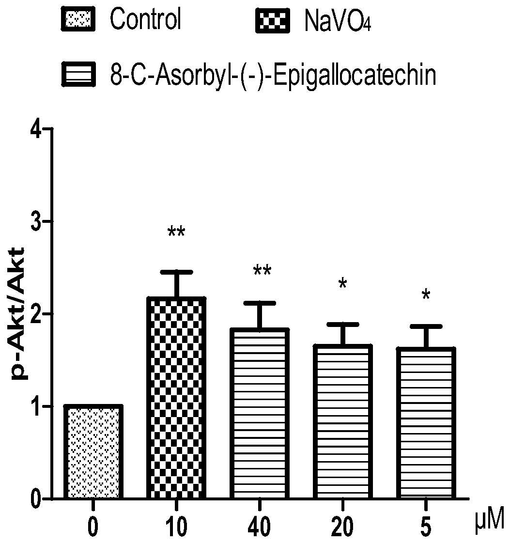 Application of AE as medicine for preventing and treating hyperlipemia