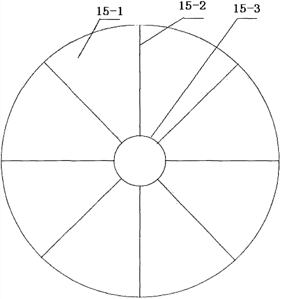 Method and equipment for testing concentration of benzo-a-pyrene