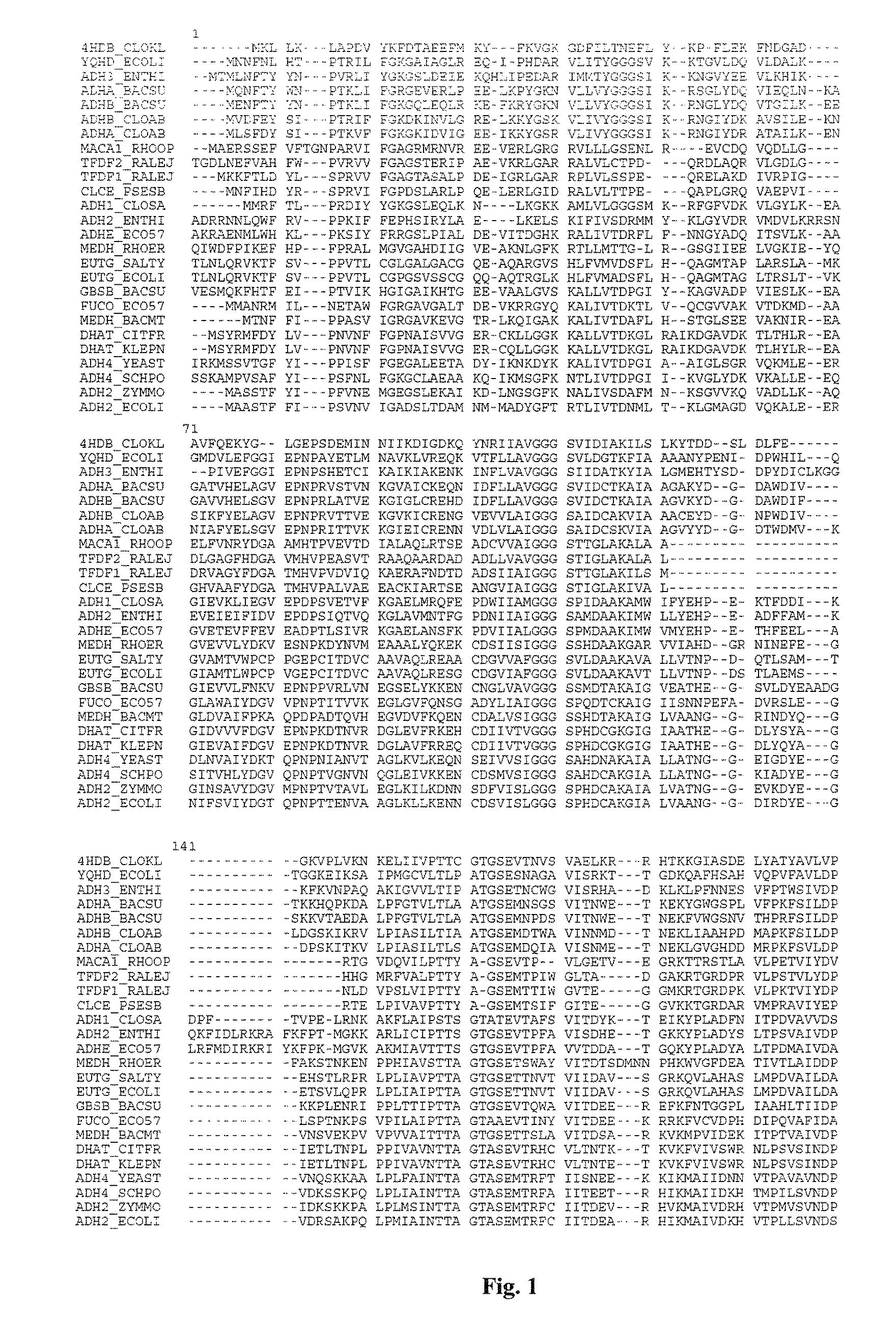 Mutant YqhD enzyme for the production of a biochemical by fermentation