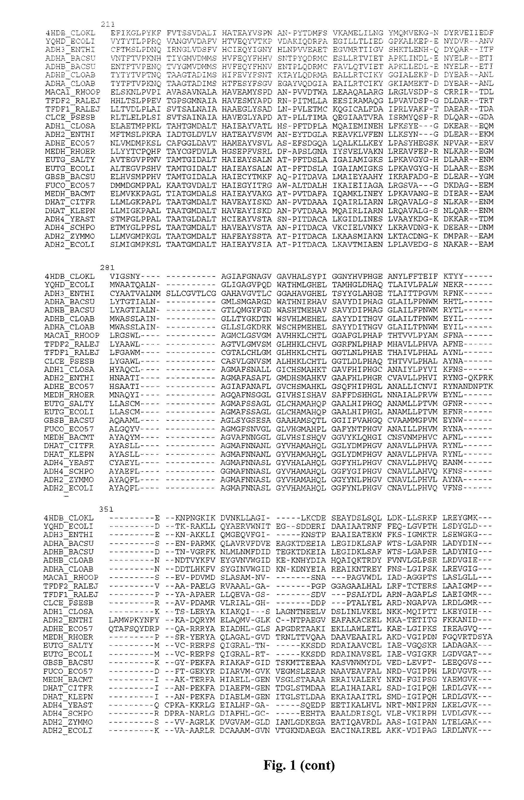 Mutant YqhD enzyme for the production of a biochemical by fermentation