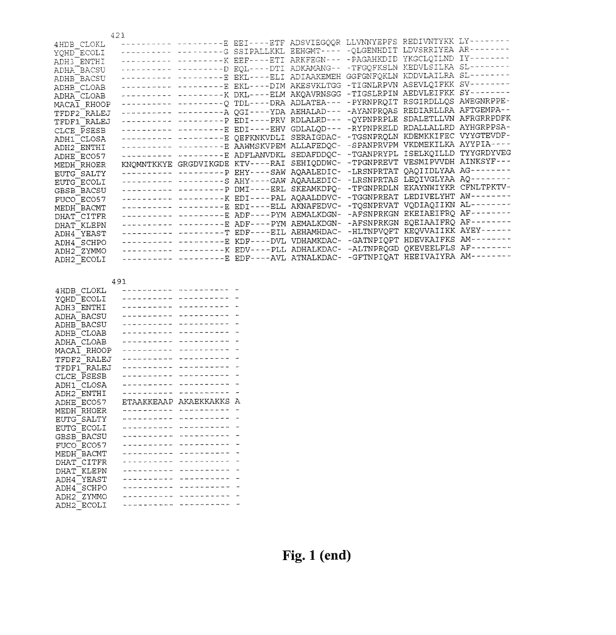 Mutant YqhD enzyme for the production of a biochemical by fermentation