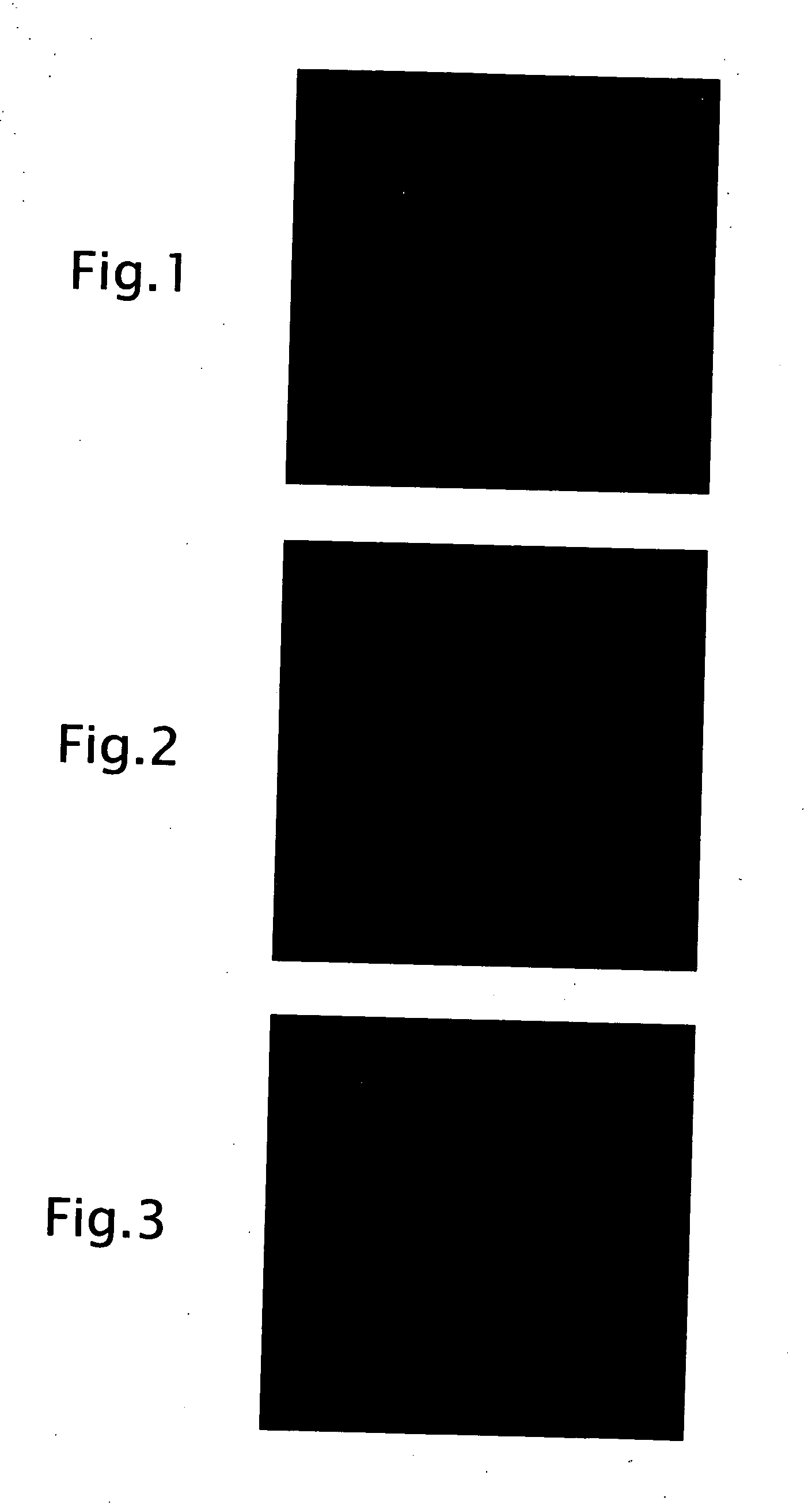 Production method of polycrystalline ceramic body