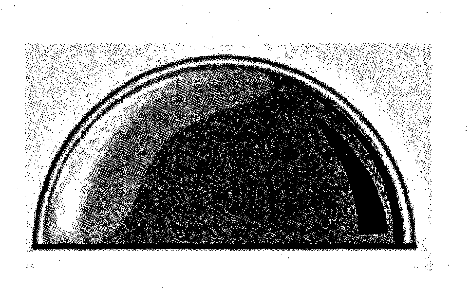 Optical film body and manufacturing method of optical film body and optical film primary body