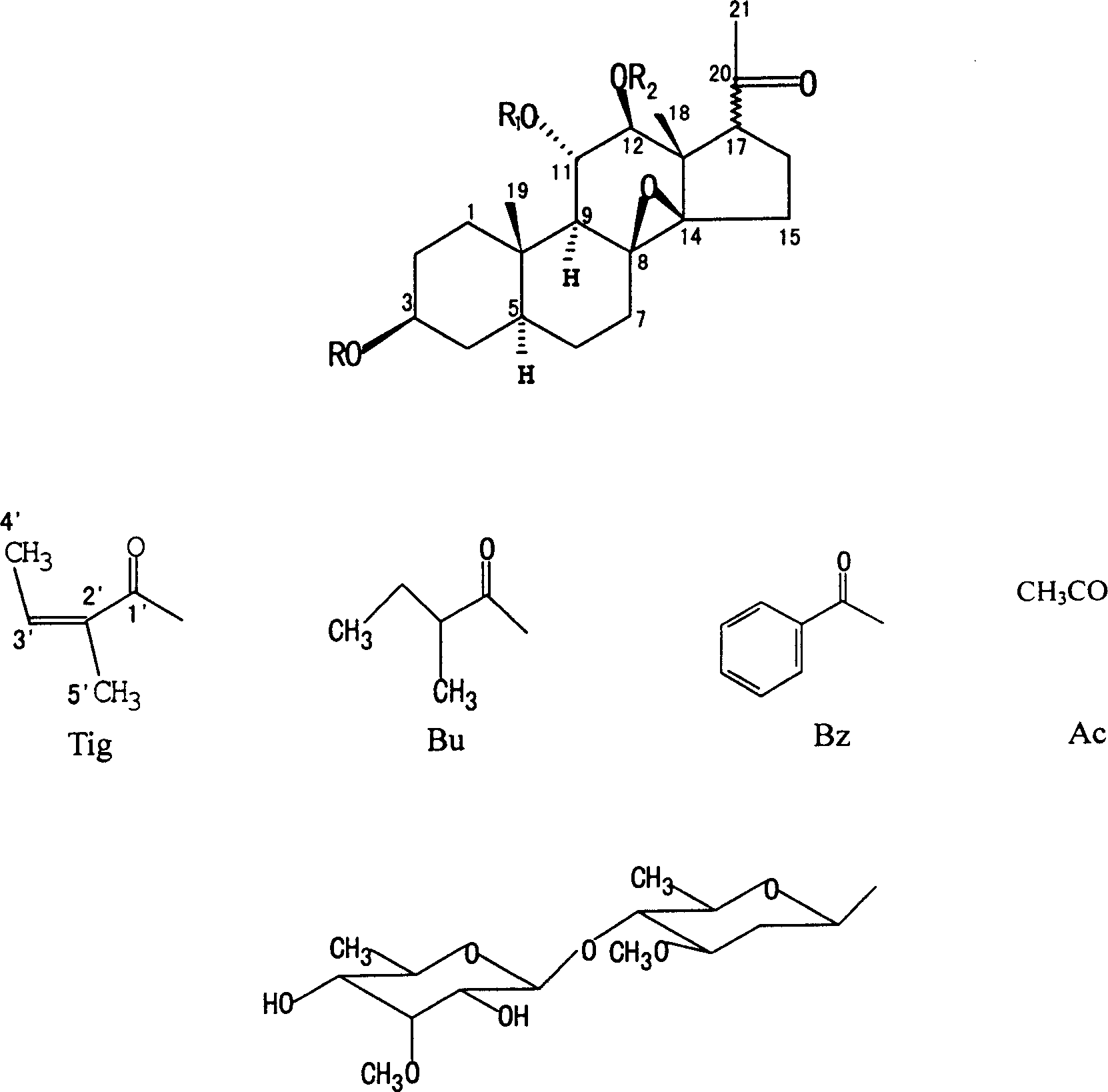 Reversing agent for drug-fast during treating tumor with multiple medicines