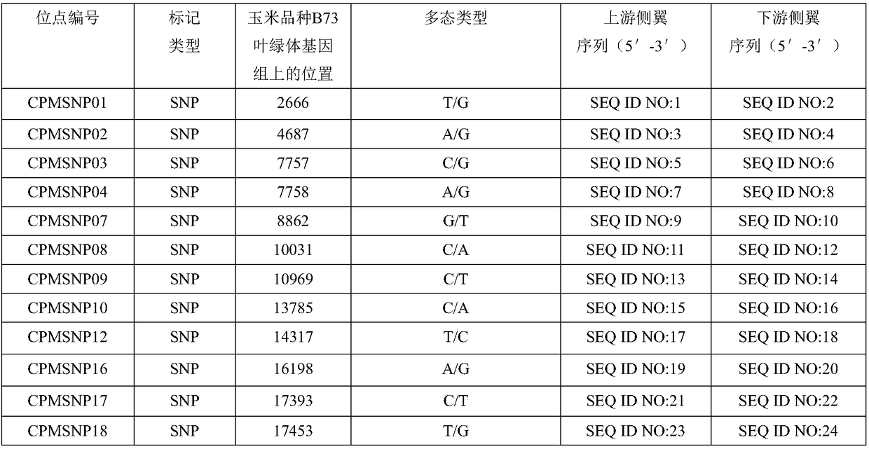 Molecular markers of maize chloroplast genome and its application in cultivar identification