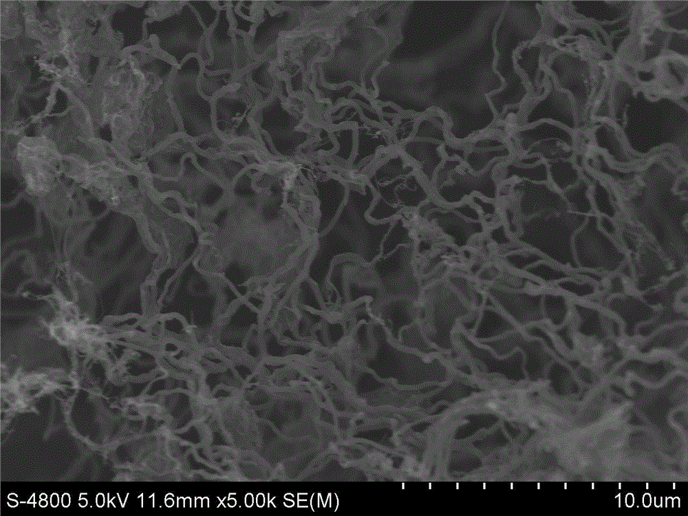 Carbon nano fiber aerogel electrostatic spinning construction method