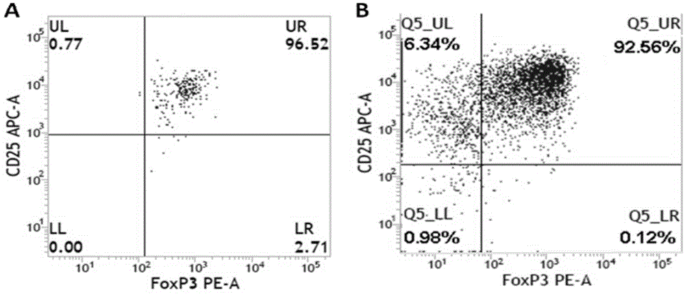 Sorting and amplification method of human peripheral blood CD4+CD25+Foxp3+ regulatory T cells