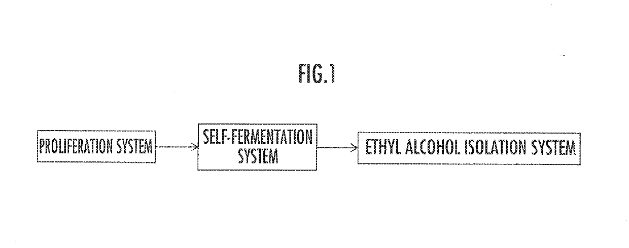 Novel microalga having aggregation ability