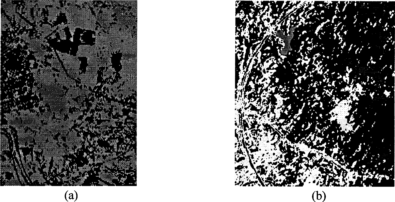 Multiple-colour tone image unity regulating method based on color transfer