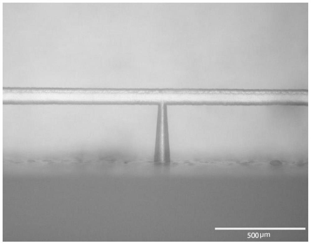 Preparation method of three-dimensional large-scale high-precision microfluidic channel