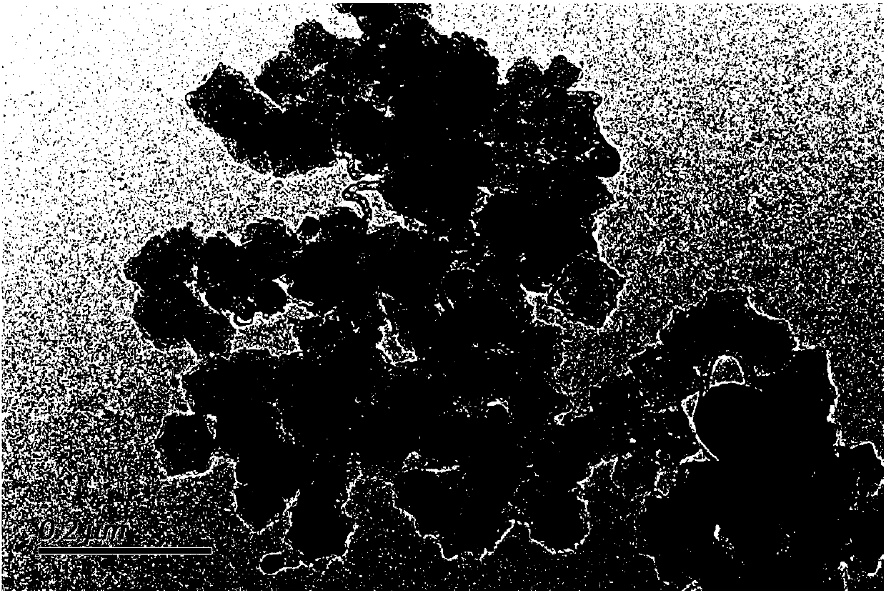 Lithium-sulfur battery functional composite diaphragm and preparation method therefor