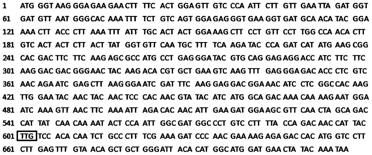 Expression system of a xylose-utilizing yeast spathaspora passalidarum