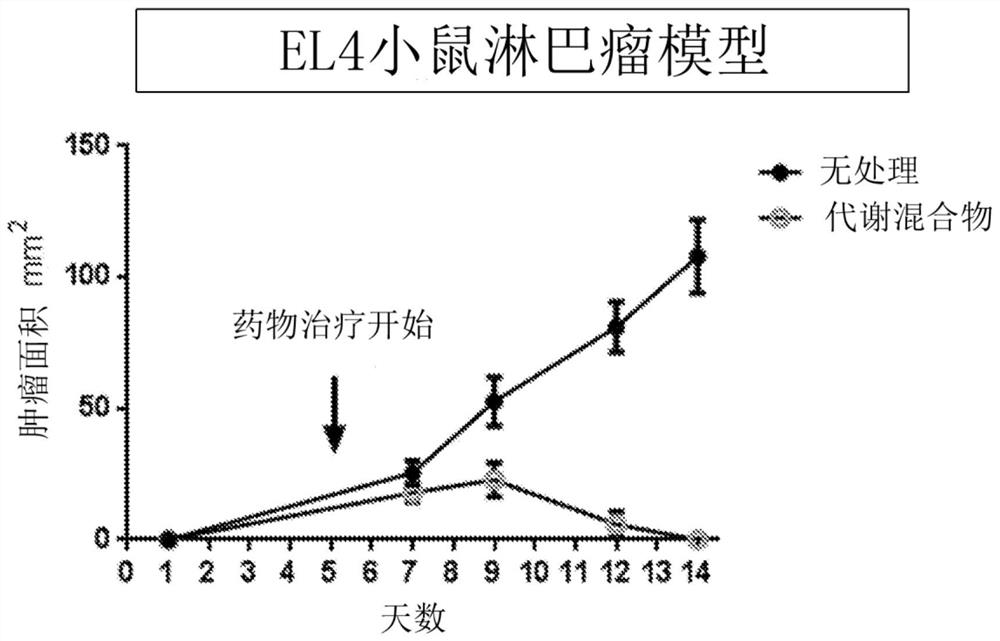 Methods for cancer and immunotherapy using glutamine analogs