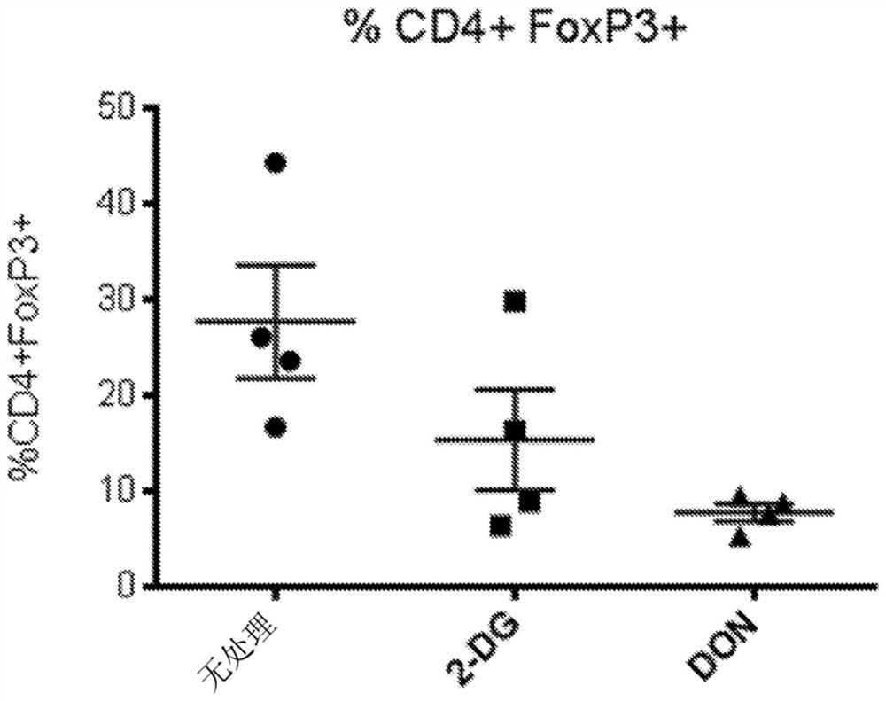 Methods for cancer and immunotherapy using glutamine analogs