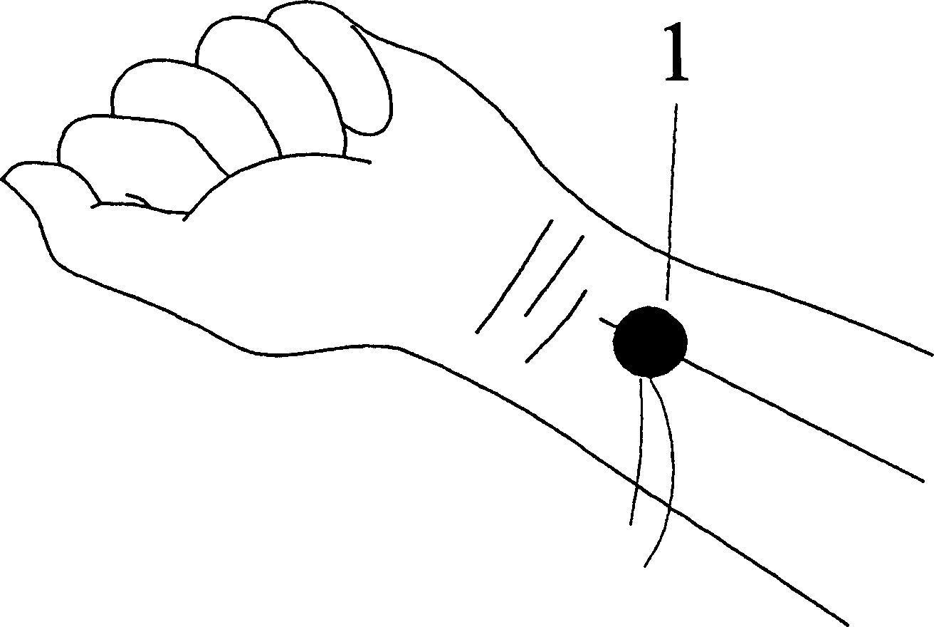Non penetration type system for measuring radial artery blood pressure wave and its application