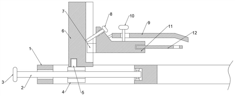 Large and small mouse stereotaxic apparatus fixing structure