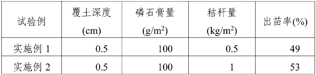 Medium/heavy soda saline-alkaline land Chinese wild rye direct seeding method