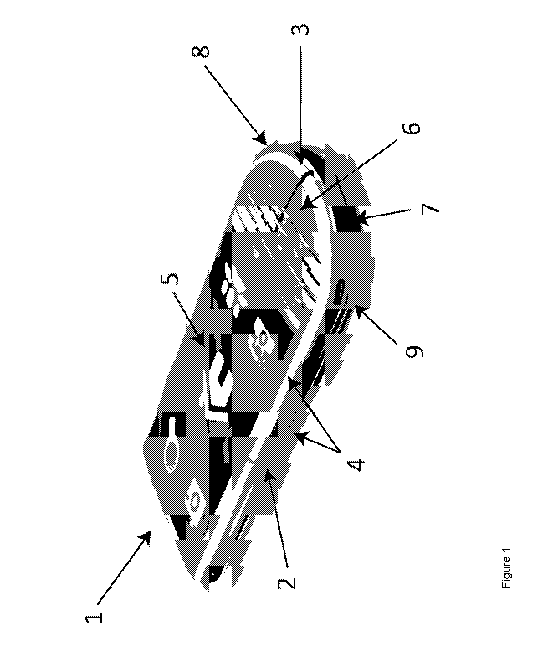 Mobile computing device for blind or low-vision users