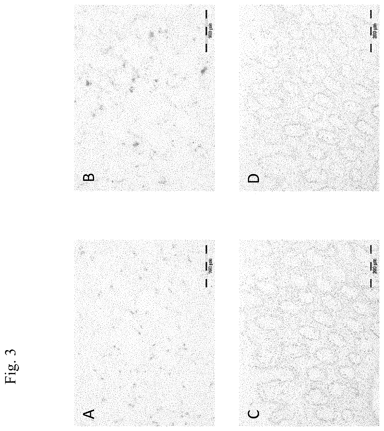 Method of safe administration of phosphorylated tau peptide vaccine