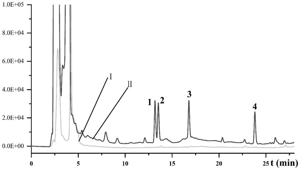 Application of bagasse-based magnetic activated carbon in detection of triazine herbicide in brown sugar