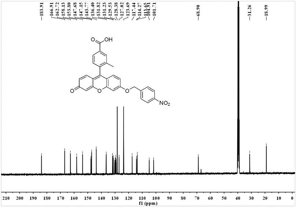 Nitroreductase-specific fluorescent probe and preparation thereof and application in tumor-targeted fluorescence imaging and monitoring of tumor hypoxia