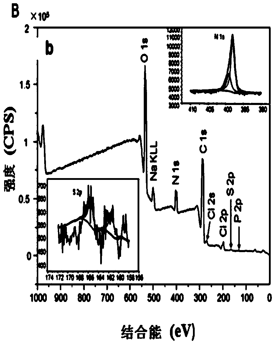 Method for preparing chitosan-silk fibroin composite nano-fiber multifunctional patch for promoting myocardial tissue regeneration and monitoring stem cells