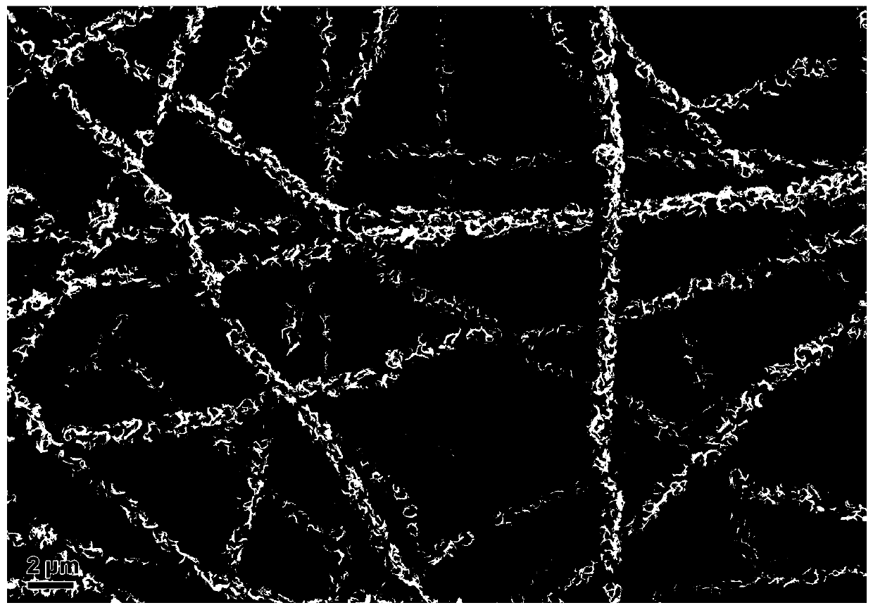 A kind of tungsten disulfide/carbon nanofiber composite material and its preparation method and application