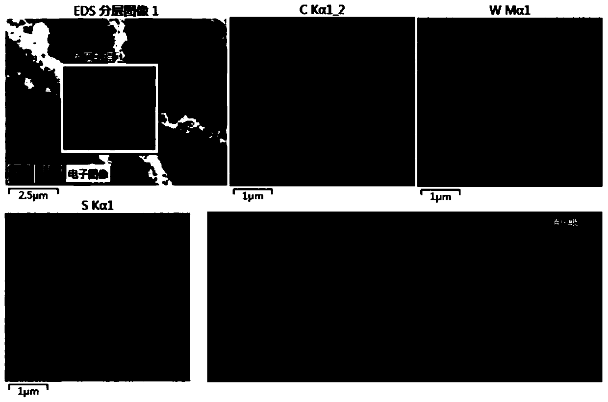 A kind of tungsten disulfide/carbon nanofiber composite material and its preparation method and application