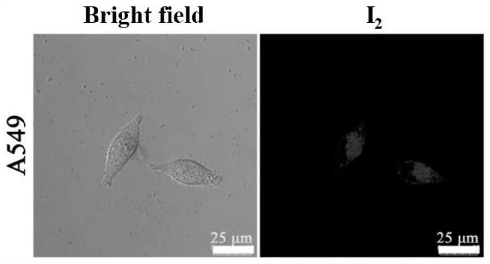 N,N-diphenylamino-modified beta-carboline indole onium salt as well as preparation method and application thereof