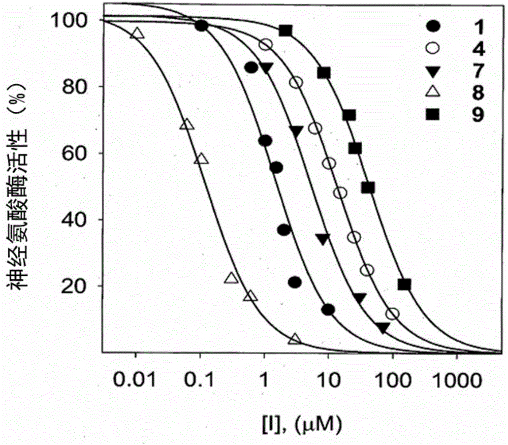 Composition for suppressing neuraminidase activity comprising geranylated flavonoid derived from paulownia tomentosa as active ingredient