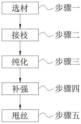 Novel anti-crack fiber and composite material preparation method