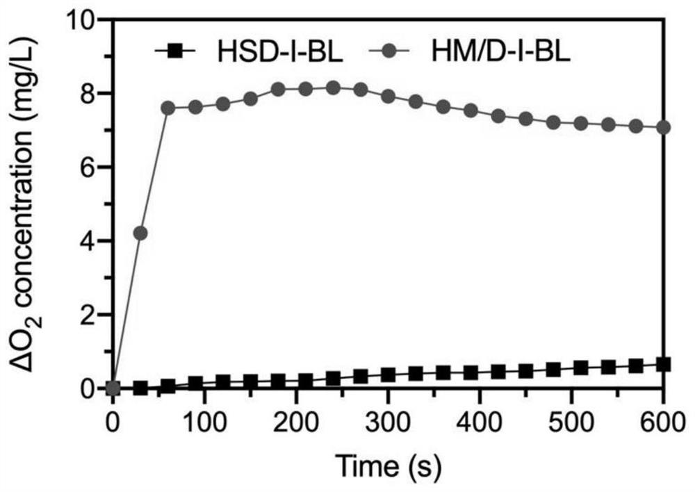 Self-oxygen-supply targeted bionic nuclear membrane structure nano-composite as well as preparation method and application thereof