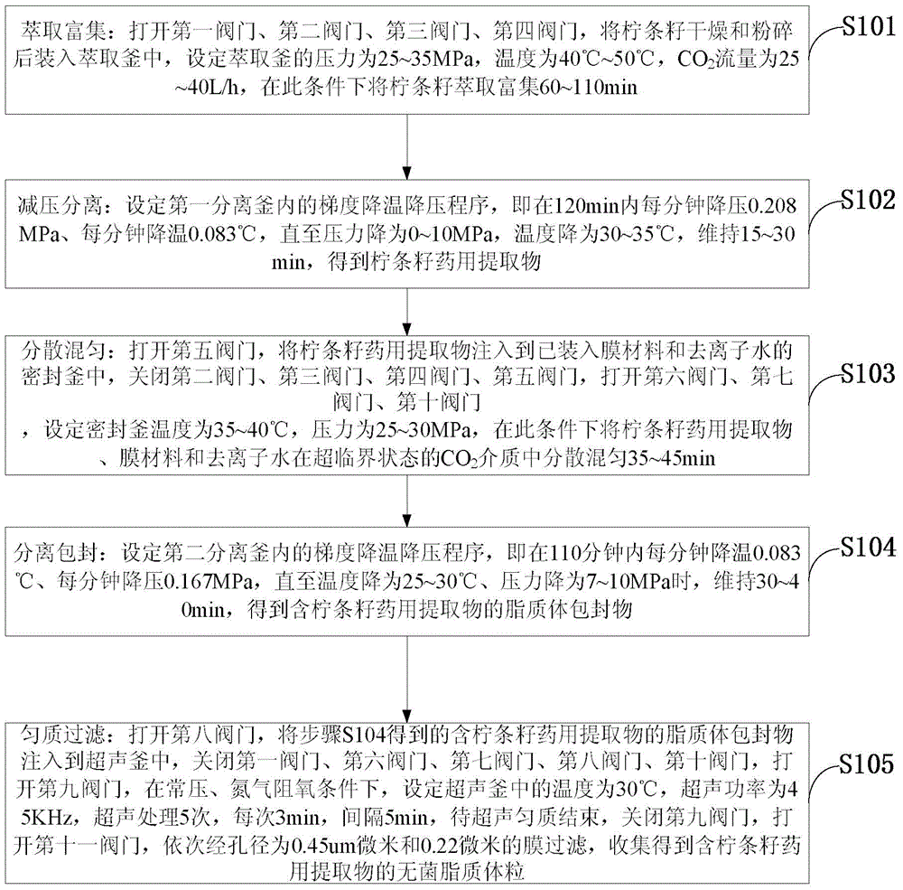 Method for preparing medicinal extract containing intermediate peashrub seeds