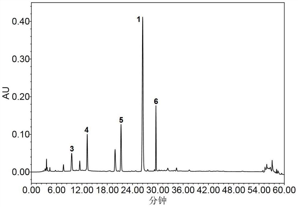 Method for determining the content of alkaloids, lignans and nucleosides in Radix isatidis or its preparations by one-measurement-multiple-evaluation method