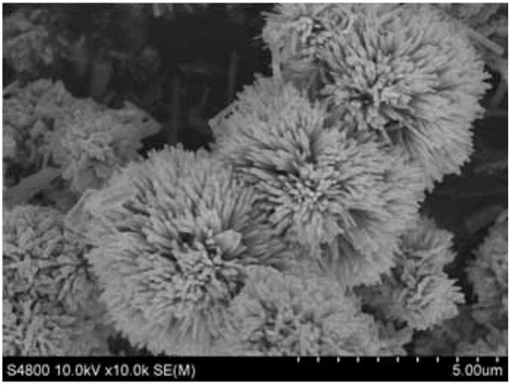 A kind of preparation method of flower-like nano zinc oxide