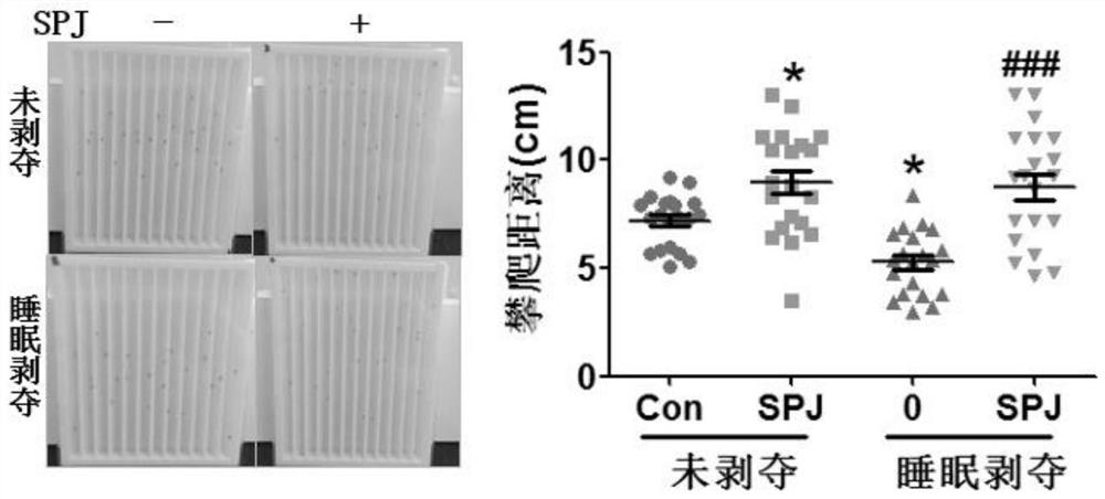 Application of ginseng alcohol extract in health care products or foods for promoting sleep