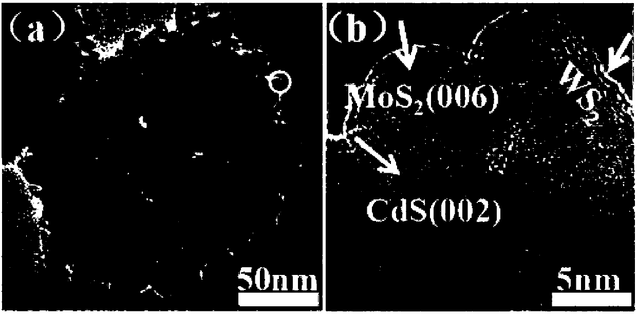 Preparation method of cadmium sulfide-molybdenum sulfide-tungsten sulfide heterojunction photocatalytic composite material with urchin-like structure and application of cadmium sulfide-molybdenum sulfide-tungsten sulfide heterojunction photocatalytic composite material