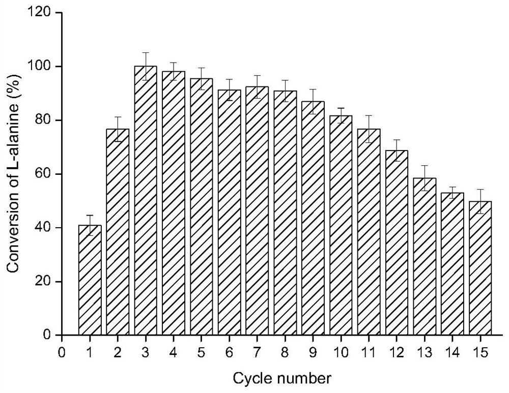 A method for converting l-alanine into d-alanine by immobilized bacillus subtilis