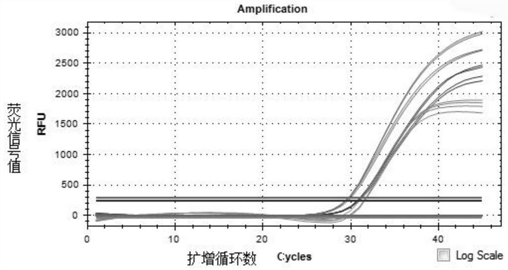 Fully-premixed freeze-drying multi-fluorescent PCR detection kit for novel coronavirus, influenza A virus and influenza B virus and detection method thereof