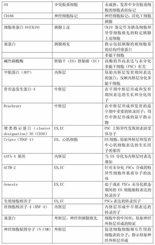 Method and composition for restoration of age-related tissue loss in the face or selected areas of the body