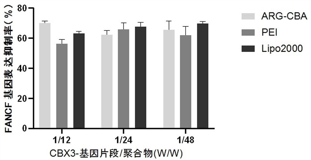 Preparation method and application of CBX3-containing L-arginine amination polyamine polymer gene vector