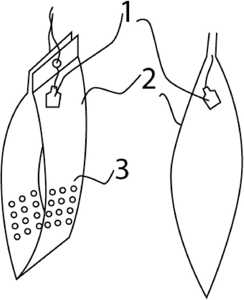 Insect trapping device and insect trapping method