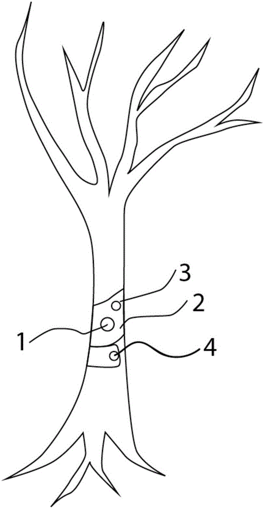 Insect trapping device and insect trapping method