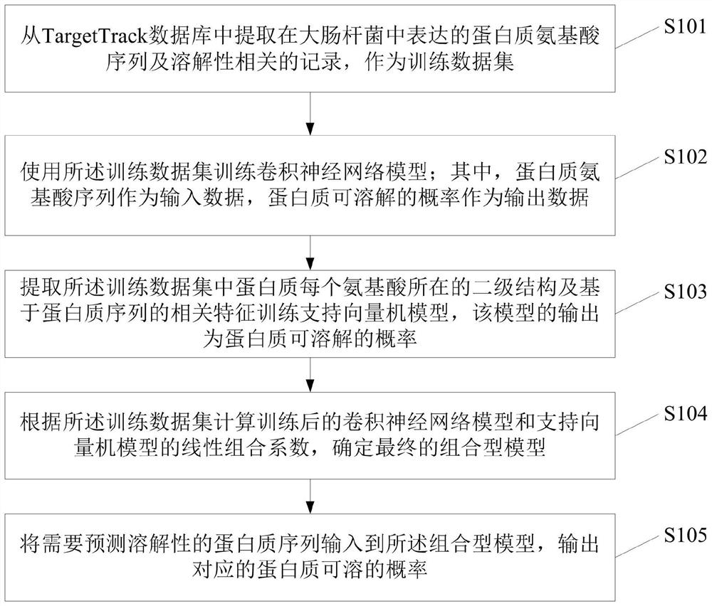 Protein solubility prediction method based on combined machine learning model