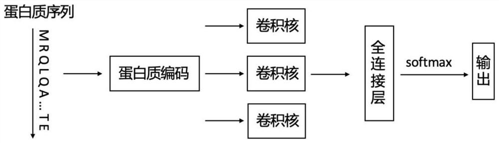 Protein solubility prediction method based on combined machine learning model