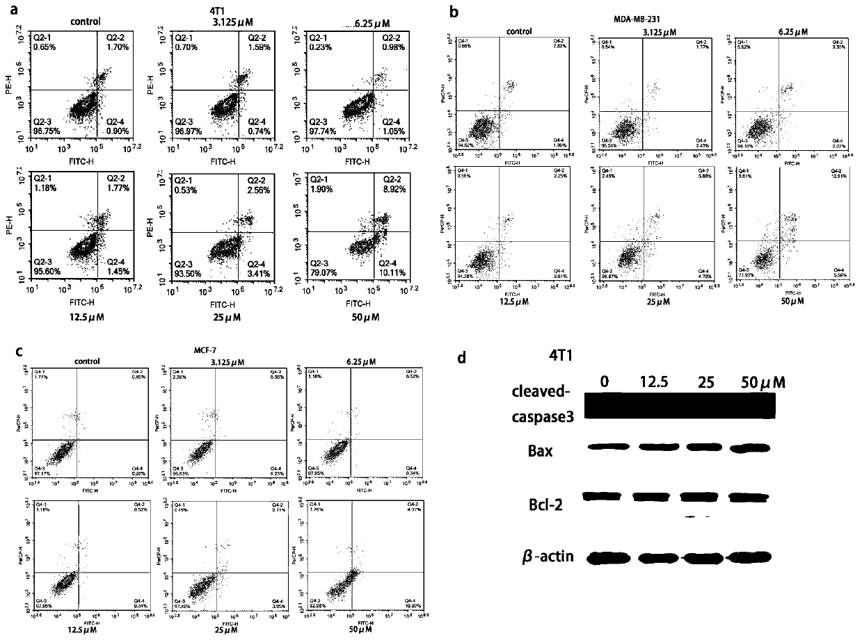 A preparation method of cypress biflavone derivatives and its anti-breast cancer application